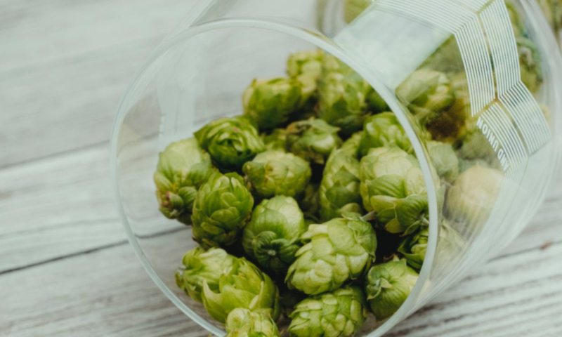 Hopbitterheid IBU of EBU in bier